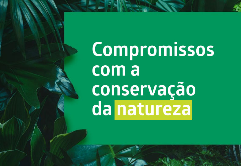 Candidatos a prefeito de Porto Velho recebem carta com compromissos ambientais - News Rondônia