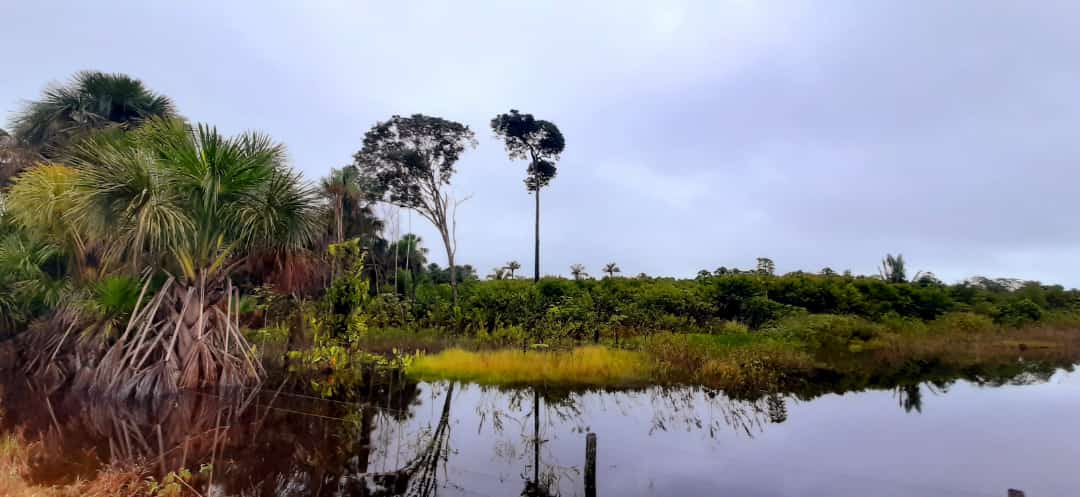 Quarta-feira de tempo firme, seco e ventilado, mas frio continua despencando os termômetros - News Rondônia