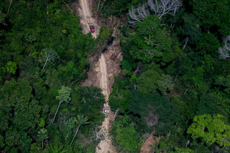 SUL DO AMAZONAS ESTÁ PRESTES A EXPLODIR PELA AÇÃO NEFASTA DE MADEIREIROS E FAZENDEIROS RONDONIENSES EM ÁREAS DEVOLUTAS DA UNIÃO - News Rondônia