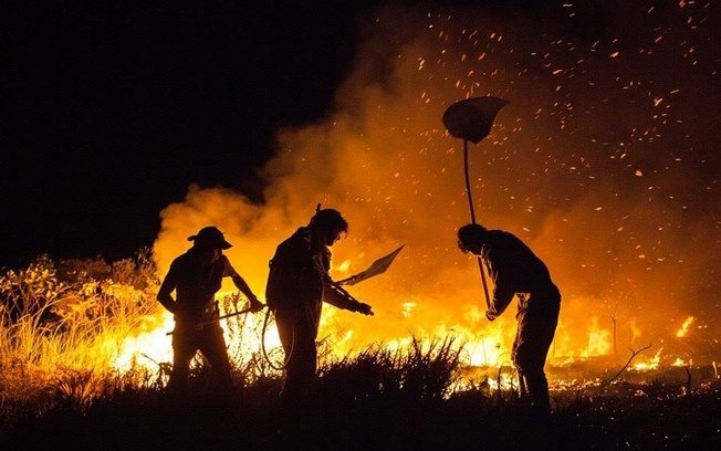 Manejo de fogo é a chave para combater incêndios no Pantanal - News Rondônia