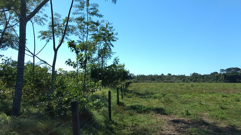 Embrapa e Rioterra unem esforços para a recuperação de áreas degradadas em Rondônia - News Rondônia