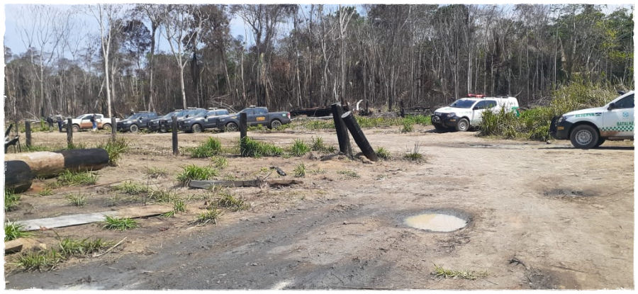 Reintegração da Flona Jacundá perde o objeto por famílias já terem deixado área ao menos 20 dias atrás - News Rondônia
