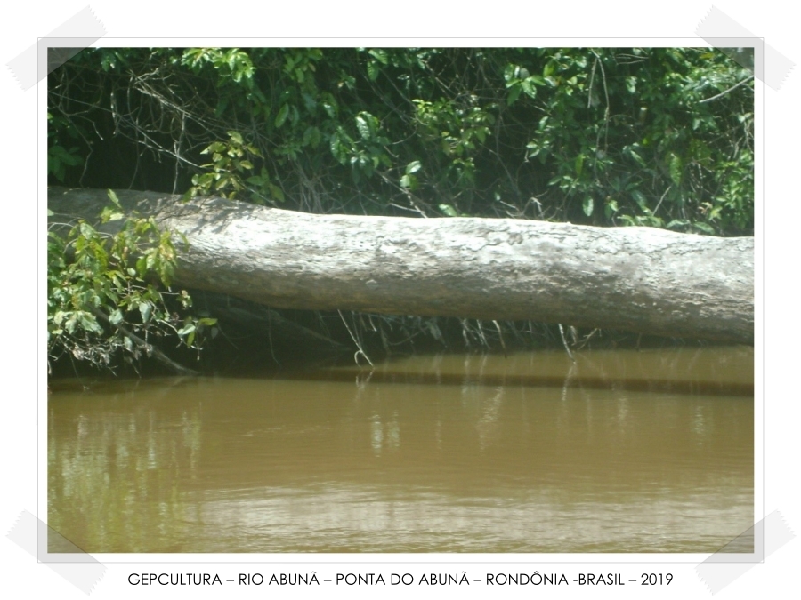 Varadouros da PAN-Amazônia  Por Marquelino Santana - News Rondônia