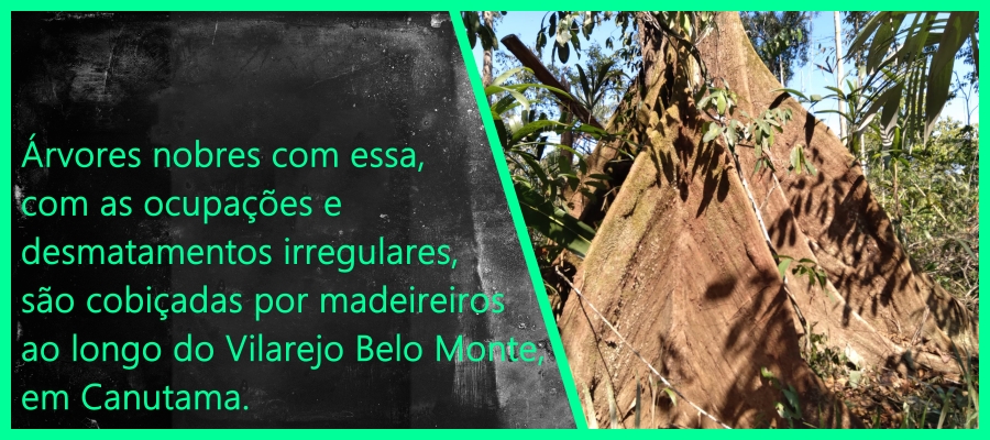Acusados de compra de terras e crimes ambientais no bioma rio Purus começam aparecer - News Rondônia
