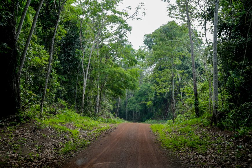 ECONOMIA VERDE - Governo de Rondônia organiza a Resex Rio Cautário para créditos de carbono; famílias recebem bolsa mensal de R$ 1 mil - News Rondônia