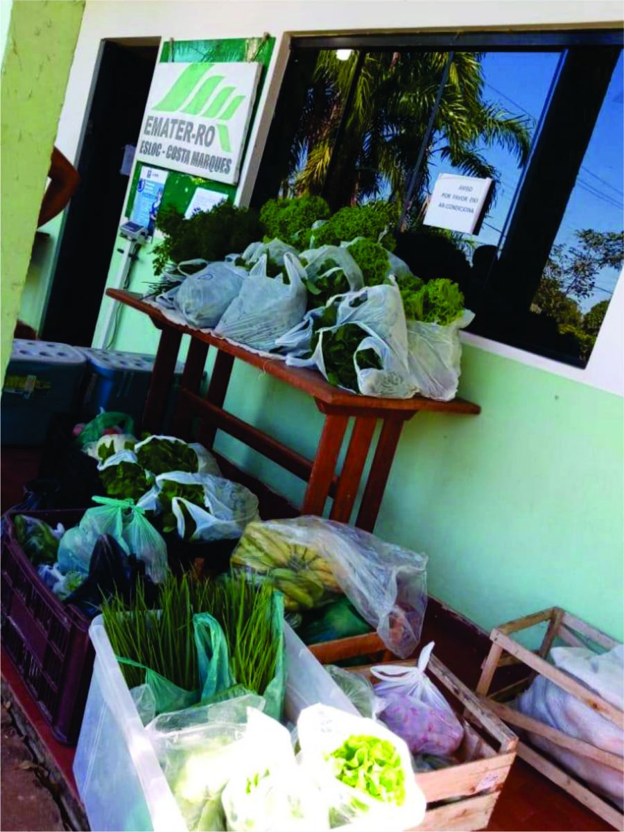 QUALIDADE - Produtos da agricultura familiar são adquiridos por meio do Programa de Aquisição de Alimentos em Costa Marques - News Rondônia