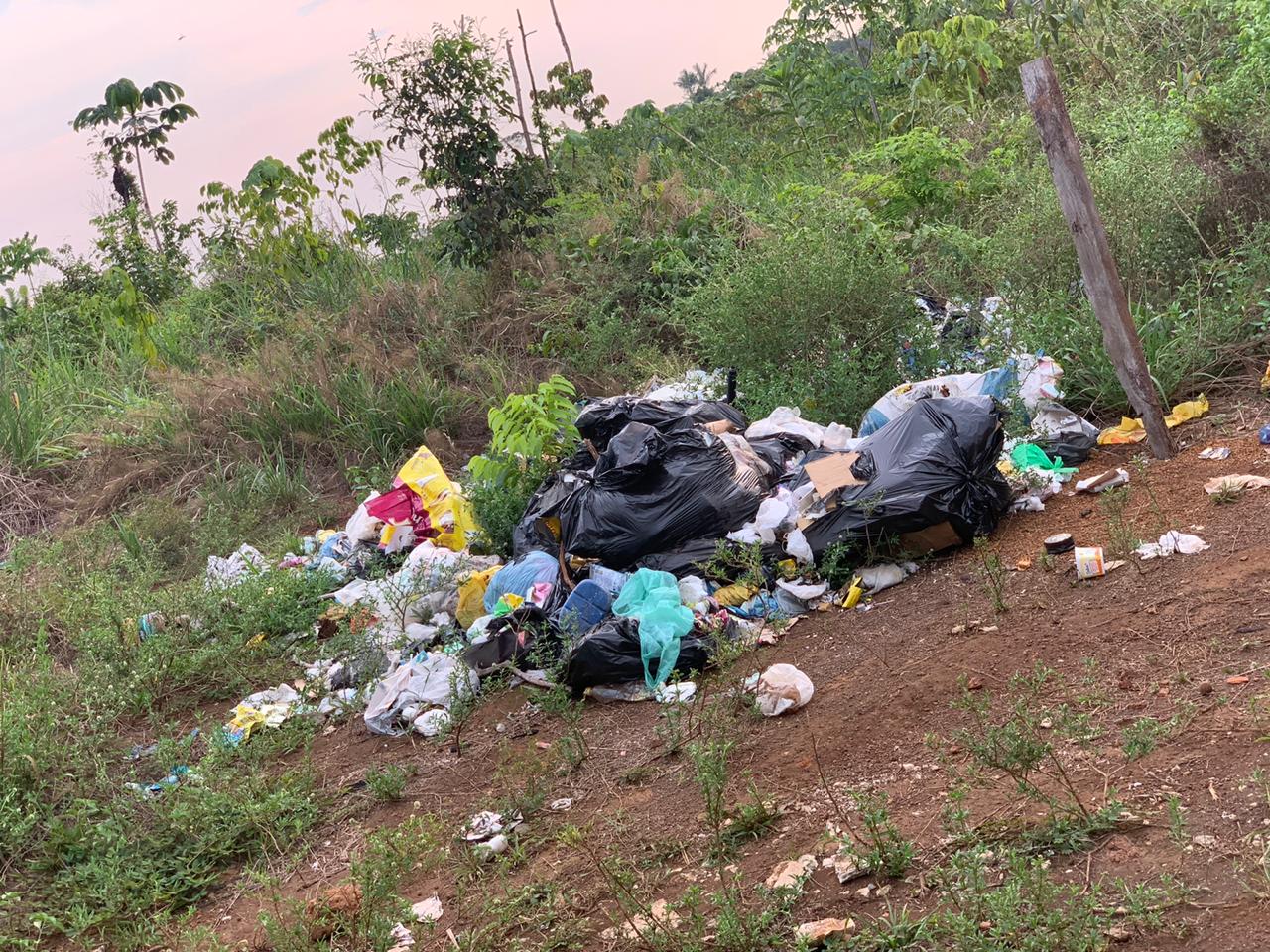 Associação de Moradores realiza mutirão de limpeza no Ramal Niterói, próximo a Porto Velho - News Rondônia