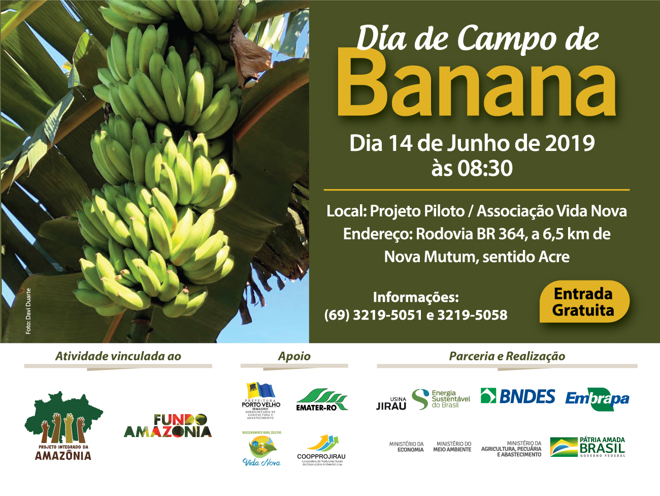 DIA DE CAMPO DE BANANA ACONTECE DIA 14 DE JUNHO, EM PORTO VELHO - News Rondônia
