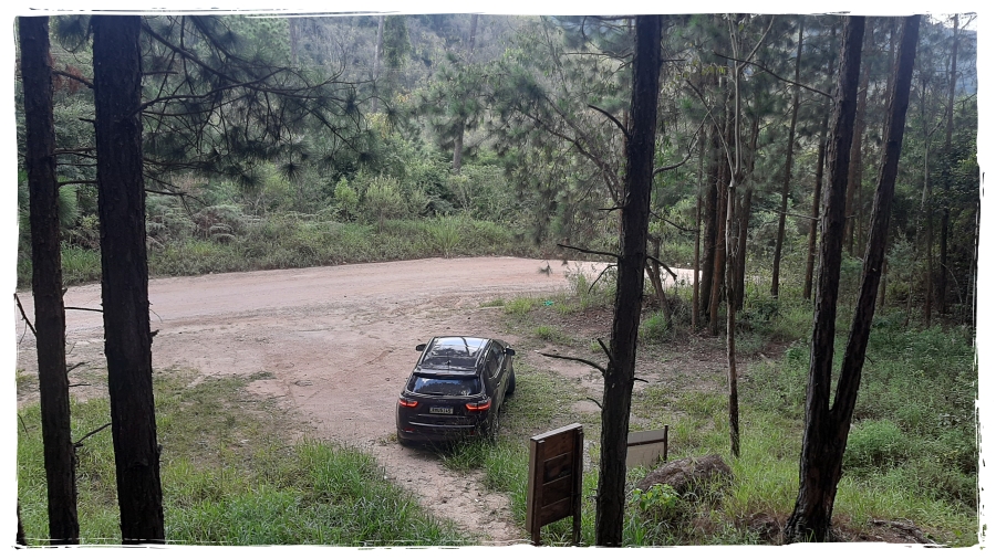 Como uma bússola, Jeep Compass sabe o caminho da liderança - News Rondônia