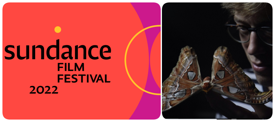 Sundence: Festival norte-americano apresenta nesta segunda 24, o documentário 'The Territory' - News Rondônia