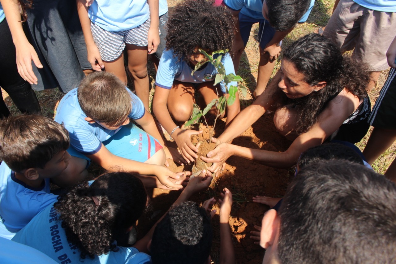 Escola municipais de Vilhena aderem ao projeto Adote Uma Árvore Com Poesia - News Rondônia