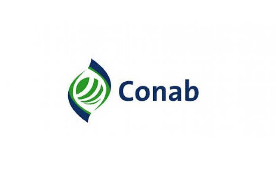 Novas regras para contratação de serviços de transporte da Conab - News Rondônia