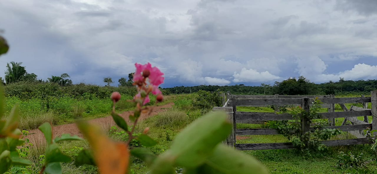 Sexta de tempo seco, sem chuvas e temperaturas despencando na madrugada, Vilhena marca mínima de 11ºC - News Rondônia