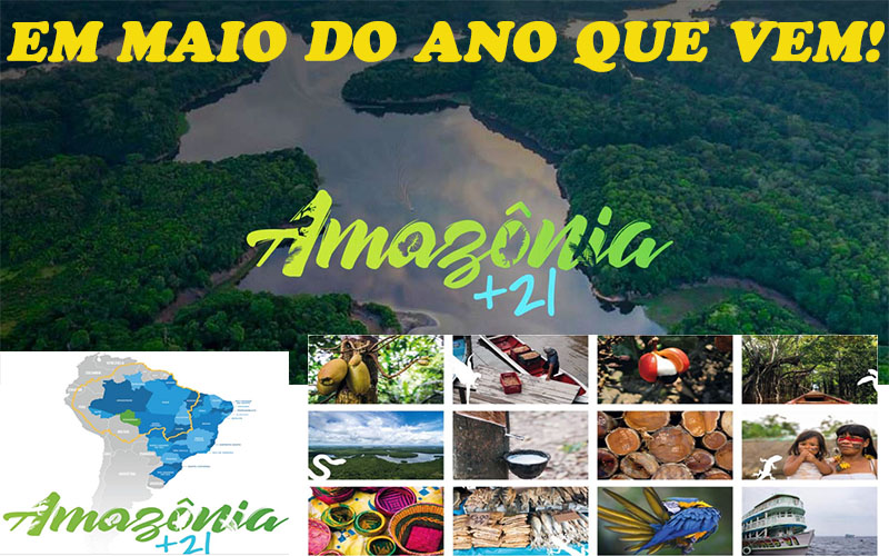 CASSOL, ACIR E O FUTURO - News Rondônia
