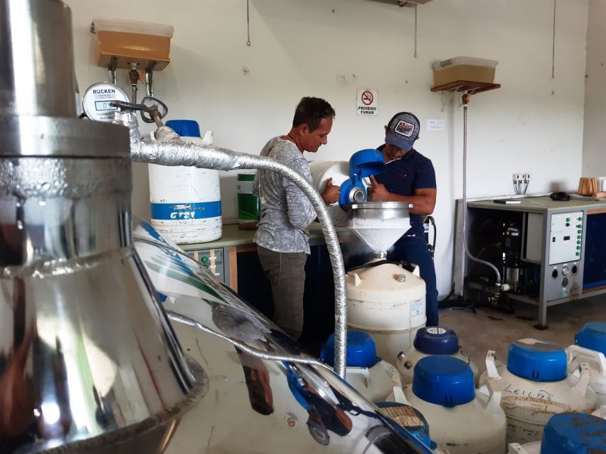 USINA - Governo de Rondônia entrega 13 mil litros de nitrogênio a pequenos produtores rurais - News Rondônia
