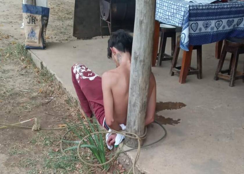 Jovem é preso ao tentar roubar cavalo; ao invés de obedecer ordens do ladrão, animal o levou até seu dono - News Rondônia