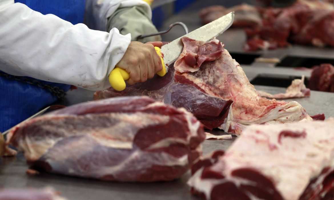 Exportação de carne do Brasil aumenta 12% no ano até agosto - News Rondônia
