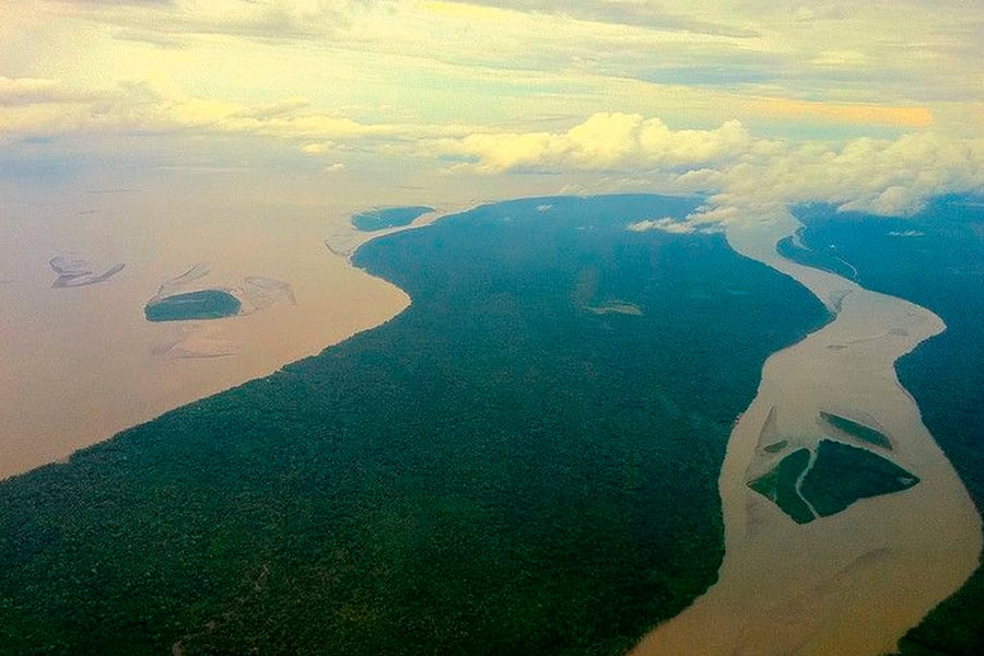 Dano ambiental é motivo mais recorrente para processos sobre meio ambiente em 2020 - News Rondônia