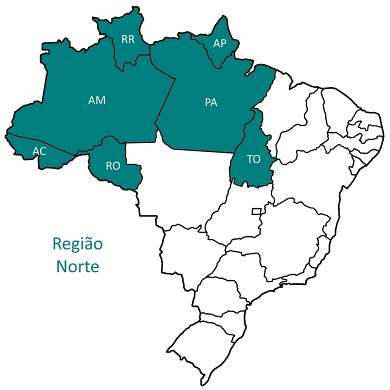 Saiba como cada estado da região norte está retomando as atividades econômicas no país - News Rondônia