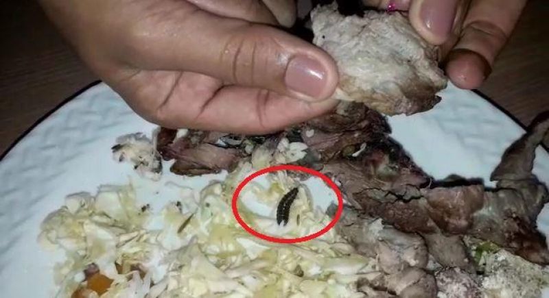 COMIDA ESTRAGADA E COM LARVA, SERVIDA EM FESTA DE 15 ANOS, VIRA CASO DE POLÍCIA, EM JARU - News Rondônia