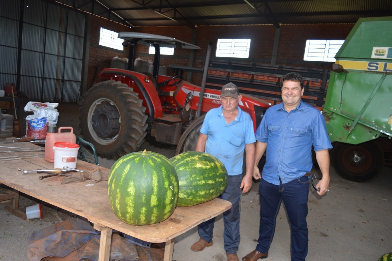 AGRICULTOR COLHE MELANCIA DE 30 KG EM CORONEL BARROS: 'É ADUBAÇÃO E UM SEGREDINHO' - News Rondônia