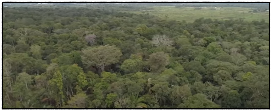 Drones ajudam no combate a incêndios em Rondônia - News Rondônia