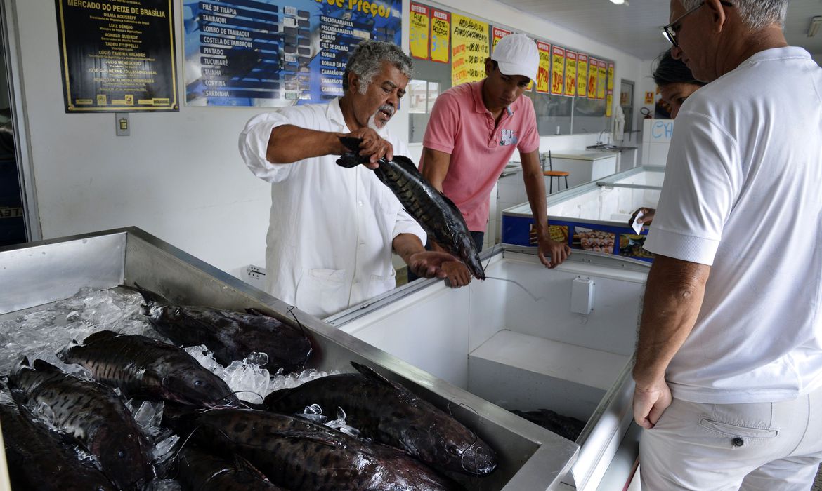 Doença urina preta pode estar relacionada a consumo de frutos do mar - News Rondônia