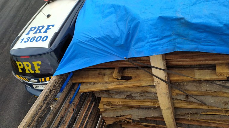 PRF identifica transporte irregular de madeira em Porto Velho - News Rondônia