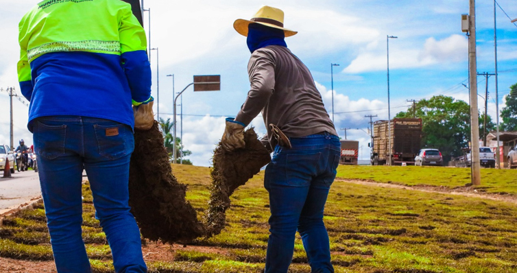 Prefeitura de Jaru segue com serviço de jardinagem e urbanização em canteiros da BR 364 - News Rondônia