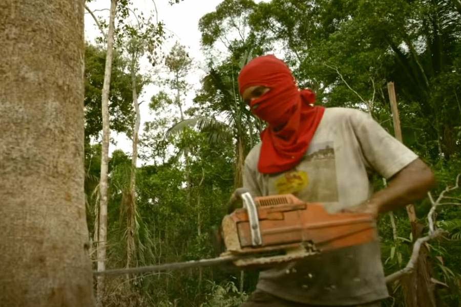 VENDAS NO FACEBOOK - PF deflagra operação para prender invasores de terra em Rondônia e Amazonas - News Rondônia