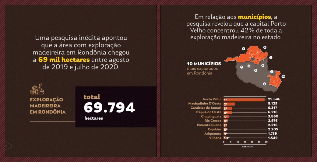 Exploração de madeira em Porto Velho desmatou 5 mil campos de futebol em dez meses; confirma Imazon - News Rondônia