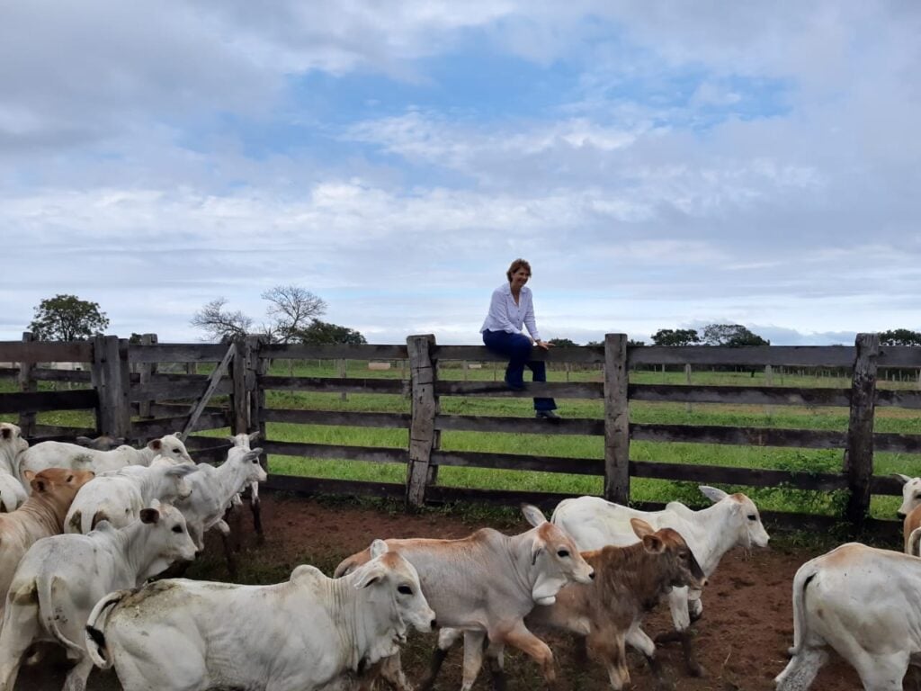 Mulheres são protagonistas na pecuária de Mato Grosso - News Rondônia