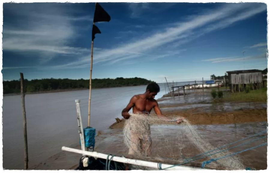 Avanço do mar causa salinização das águas no Amapá; moradores da pequena ilha de Bailique alegam fome e sede - News Rondônia