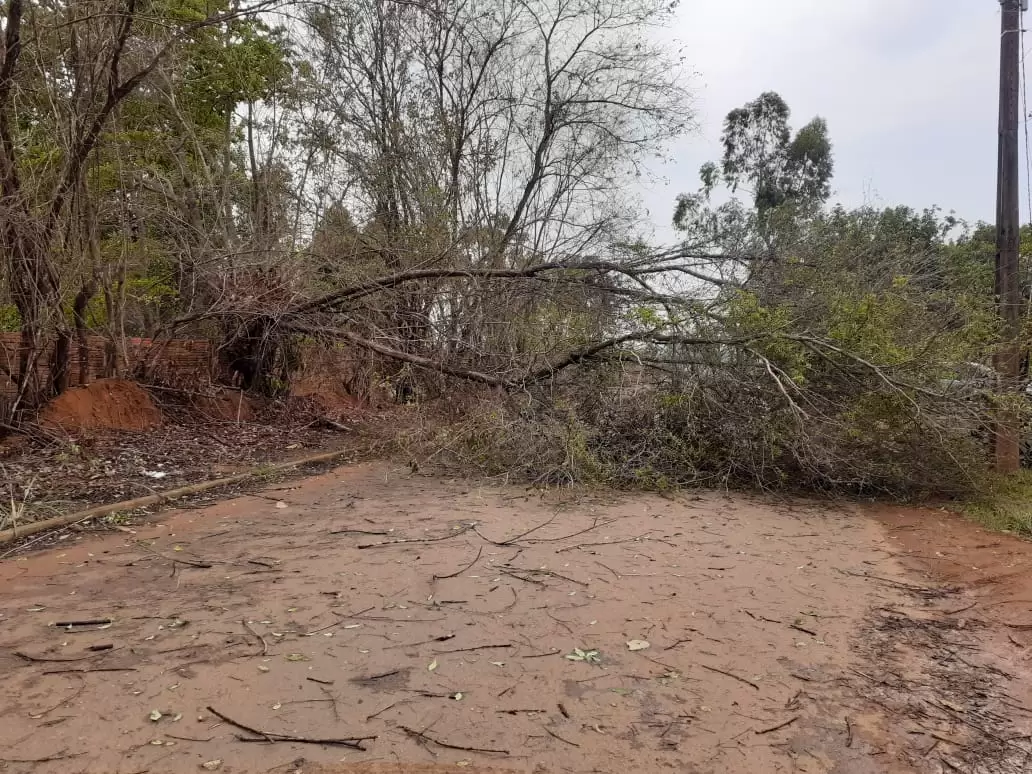 Chuva de granizo causa estragos em Vilhena - News Rondônia