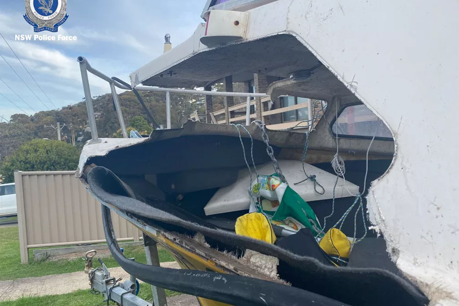 Jovem fica em estado crítico após ser atingido por baleia na Austrália - News Rondônia