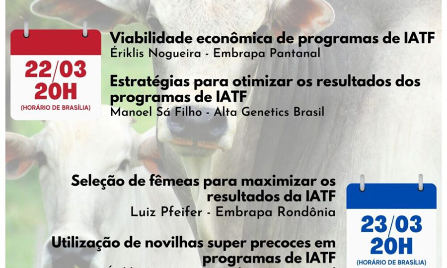 Webinar da Embrapa apresentará tecnologias para maximizar resultados em IATF para gado de corte - News Rondônia
