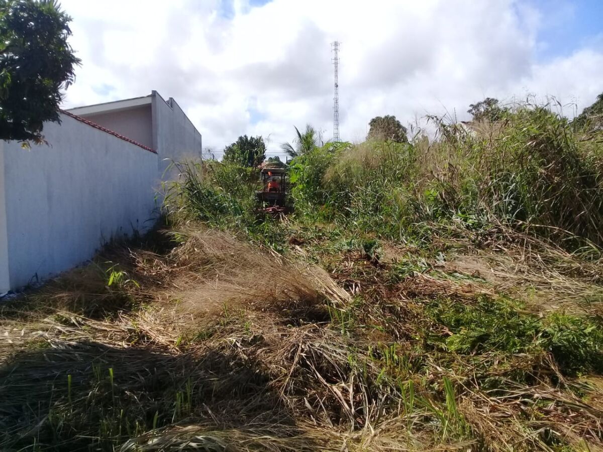 Prefeitura notifica proprietários de lotes baldios para que limpem seus terrenos - News Rondônia