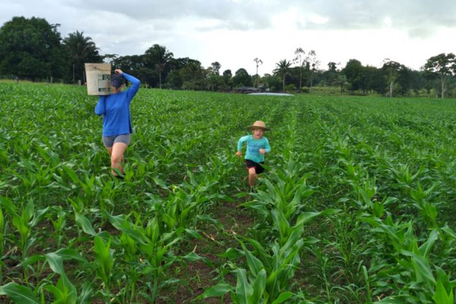Produtores de leite da Região do Café se sentem satisfeitos com o programa 'Mais Calcário' - News Rondônia
