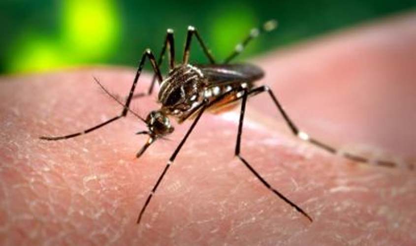 Semusa inicia levantamento sobre índice de doenças por Aedes aegypti - News Rondônia