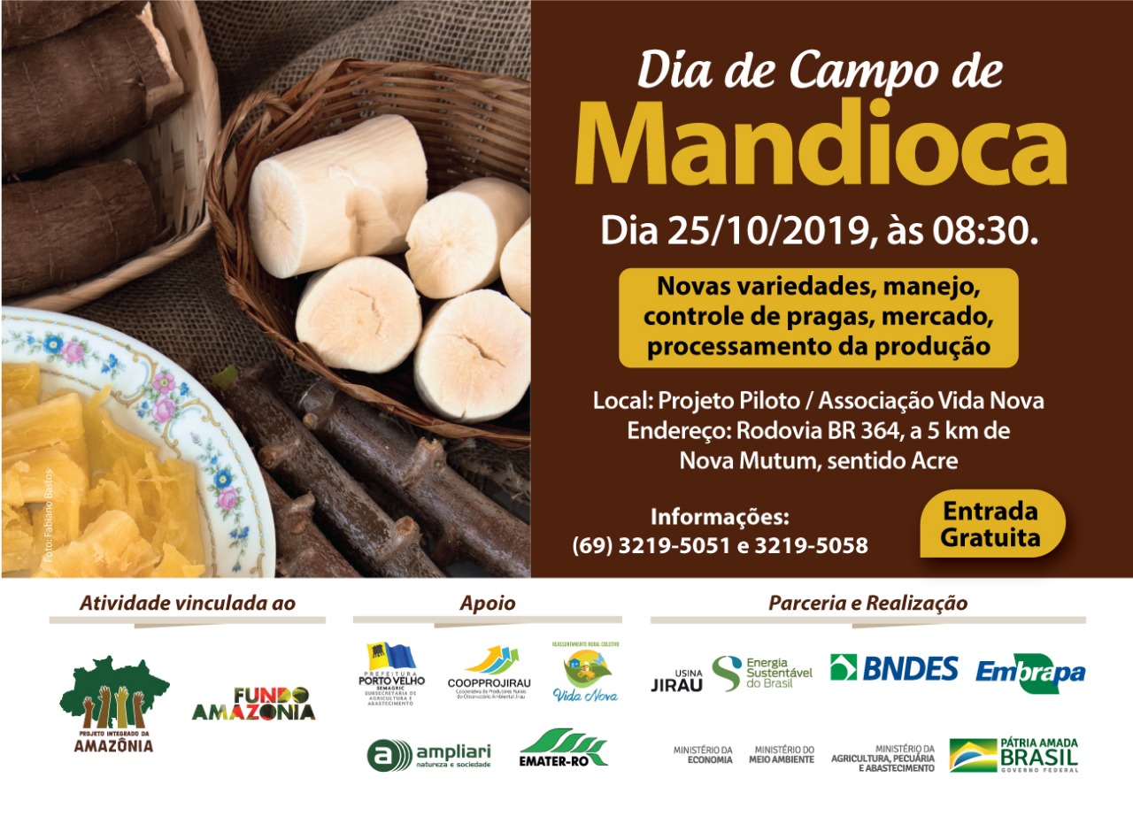 DIA DE CAMPO DE MANDIOCA ACONTECE DIA 25 DE OUTUBRO EM PORTO VELHO - News Rondônia
