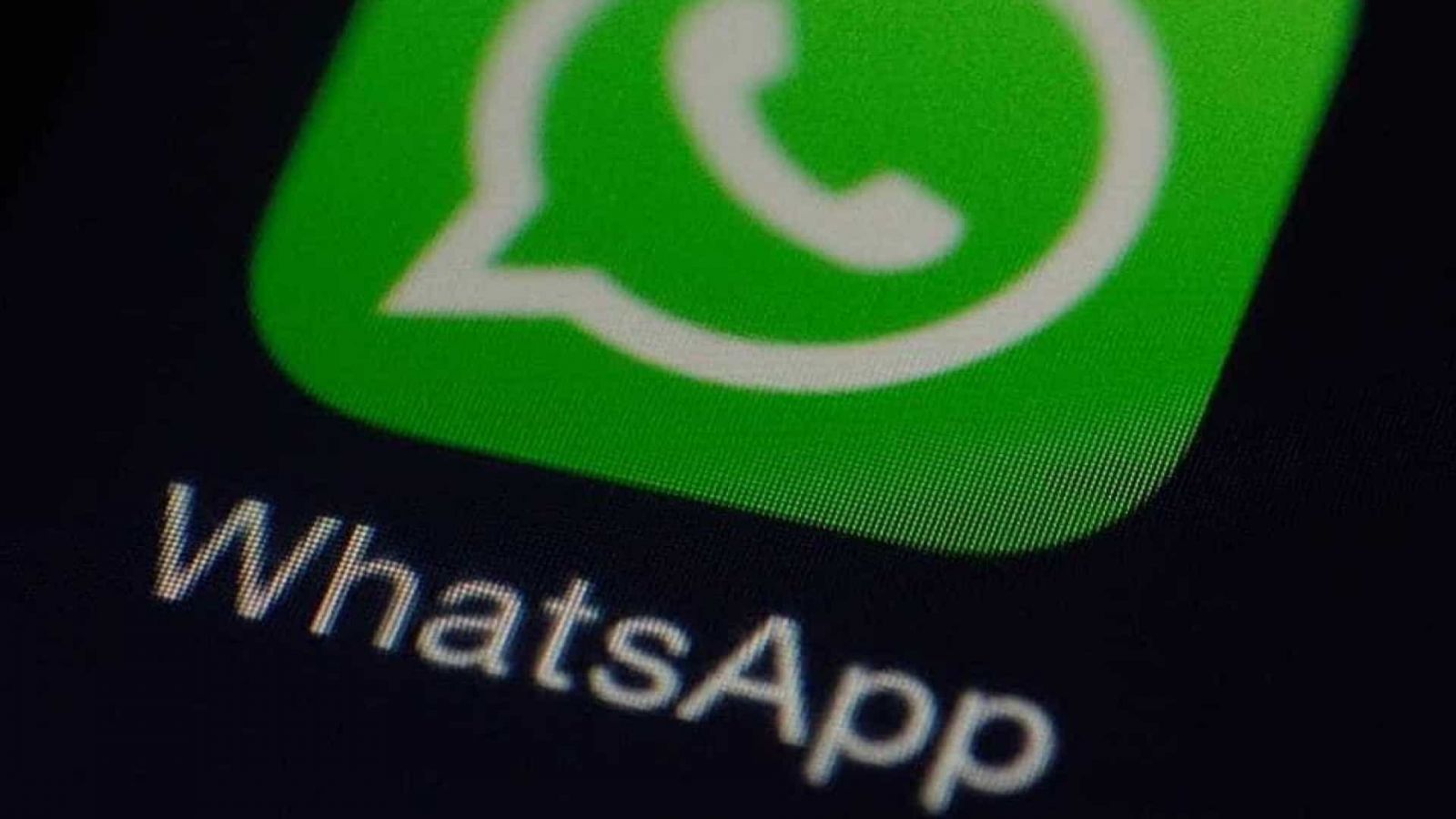 Nova opção do WhatsApp vai ajudar a detectar notícias falsas - News Rondônia