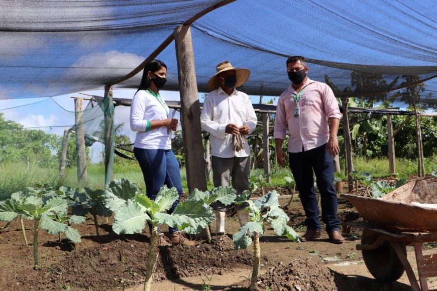 Fomento rural facilita acesso ao trabalho e obtenção de renda a famílias em situação de vulnerabilidade social - News Rondônia