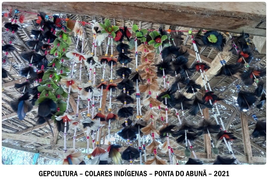 No caminho da aldeia a aldeia sem caminhos  Por Marquelino Santana - News Rondônia