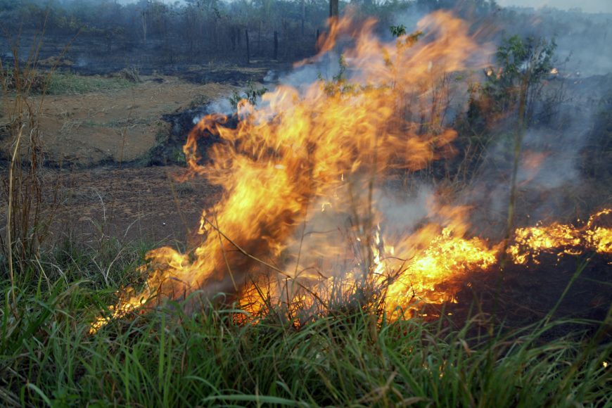 Sedam intensifica ações de prevenção às queimadas e incêndios florestais em Rondônia - News Rondônia