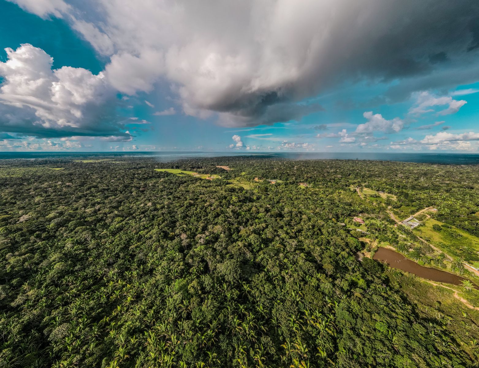 Prefeitura fortalece política de preservação ambiental e foca na Economia Verde - News Rondônia