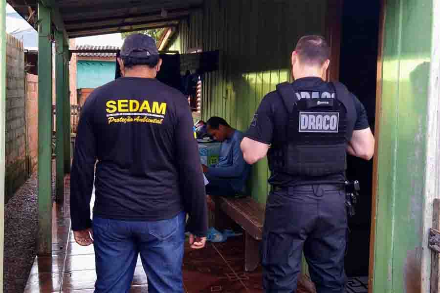 CANAÃ  Polícia Civil deflagra operação para desarticular associação criminosa dedicada à invasão de terras públicas estaduais - News Rondônia