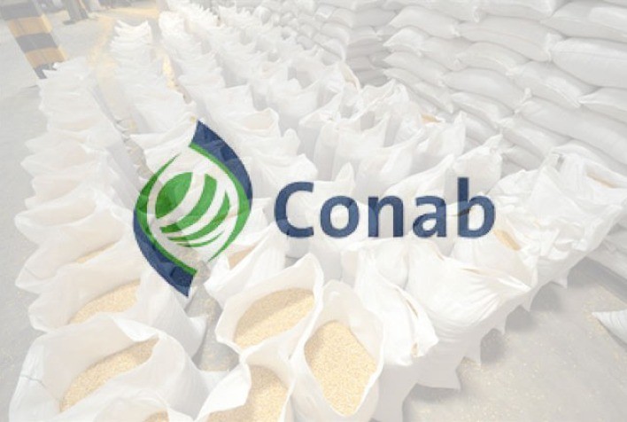 ATENÇÃO: Leilão da frete da Conab para remoção de milho foi adiado para quarta-feira (17) - News Rondônia