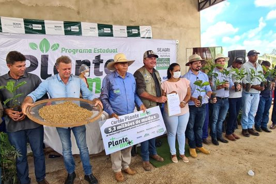 Programa 'Plante Mais' beneficiará agricultores com mais de 5 milhões de mudas de Café Clonal e 600 mil mudas de cacau clonal - News Rondônia
