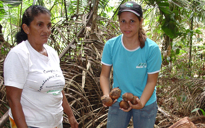 EXTENSIONISTA RURAL É PROTAGONISTA DO DESENVOLVIMENTO EM RONDÔNIA HÁ CINCO DÉCADAS - News Rondônia