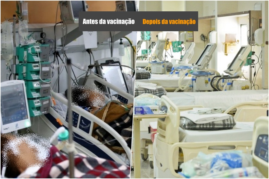 Números provam que vacinas reduziram a tragédia da pandemia, mas há milhares que não acreditam nelas - News Rondônia